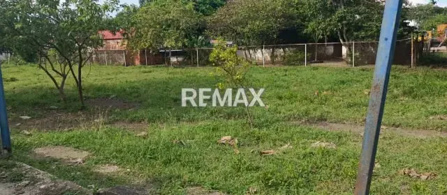 EN VENTA TERRENO PROPIO CON ACCESO DIRECTO DE LA CARRETERA NACIONAL ACARIGUA-AGUA BLANCA, SECTOR ALGODONAL - 5