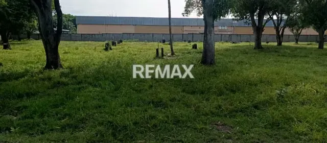 EN VENTA TERRENO PROPIO CON ACCESO DIRECTO DE LA CARRETERA NACIONAL ACARIGUA-AGUA BLANCA, SECTOR ALGODONAL - 7