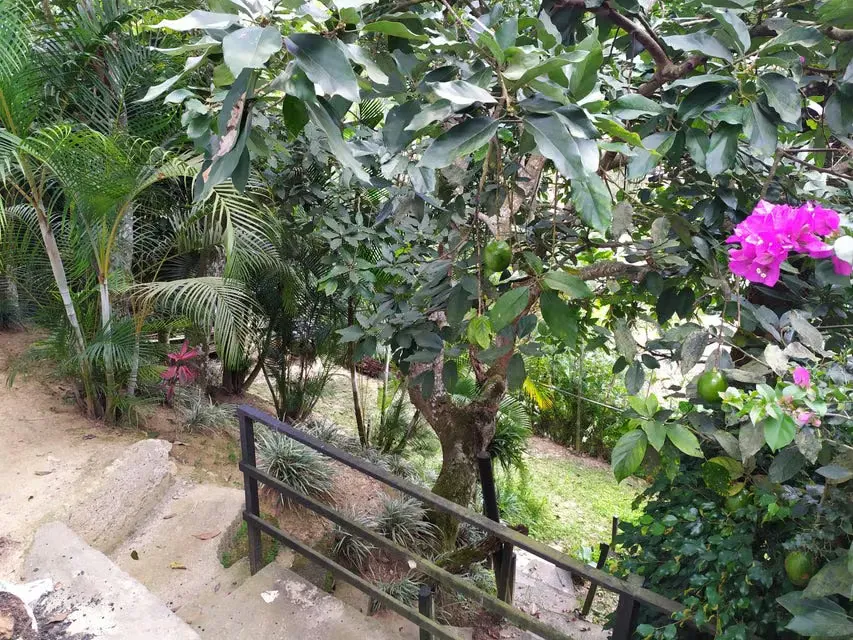 Casa (1 Nivel) en Venta en La Lagunita Country Club, Distrito Metropolitano - 109