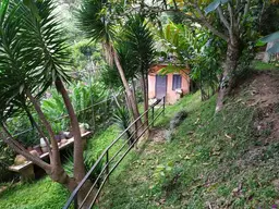 Vista 110