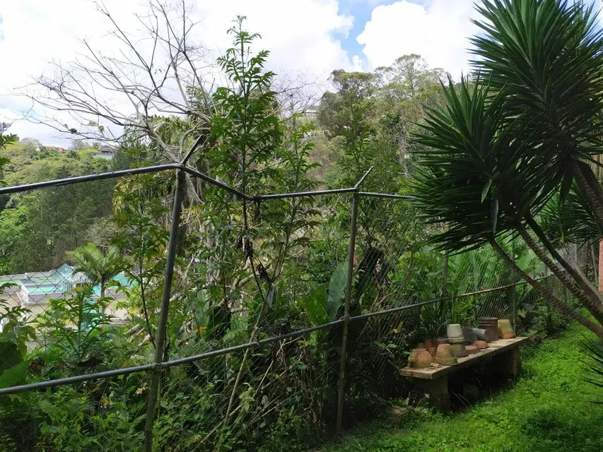 Casa (1 Nivel) en Venta en La Lagunita Country Club, Distrito Metropolitano - 114