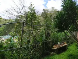 Vista 114