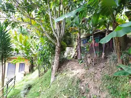 Vista 115