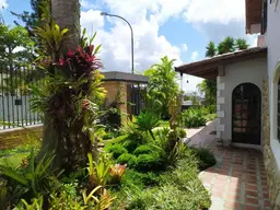 Vista 19