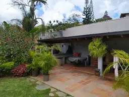 Vista 100