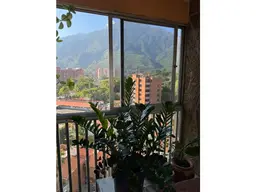View 14