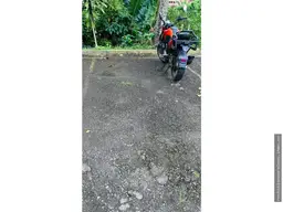 Vista 18