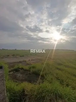 Vista 1