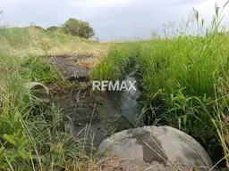 Vista 4