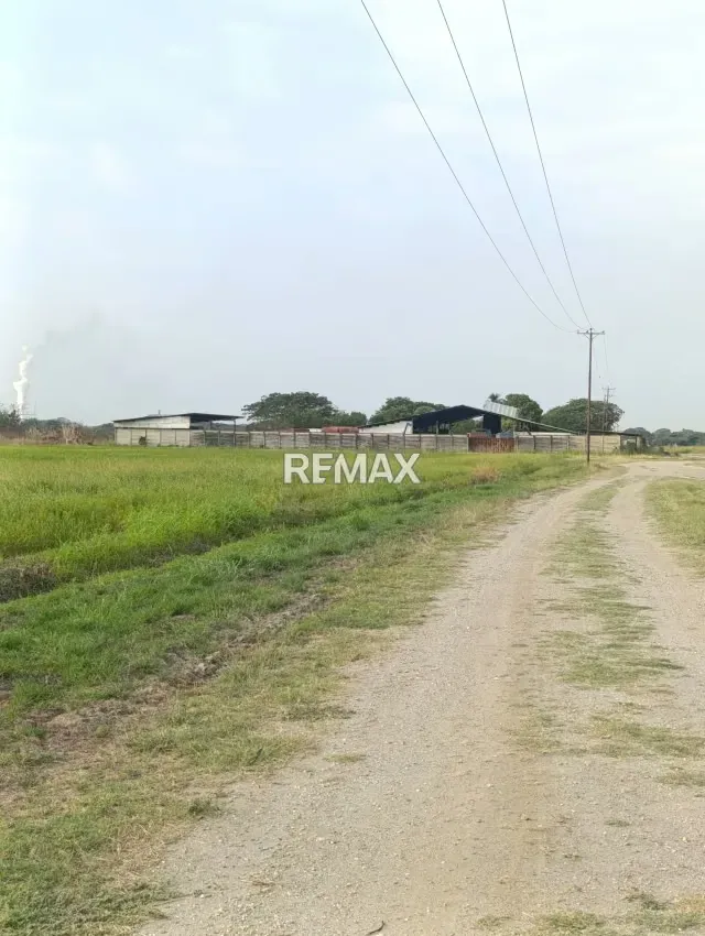 Tu Finca de 230 Hectáreas cerquita de tu hogar - 5