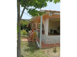 Vista 10