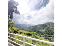 Vista 21