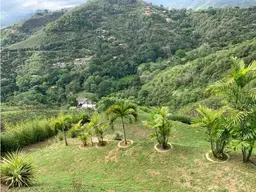 Vista 24