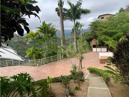 Vista 25