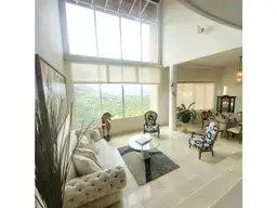 Vista 4