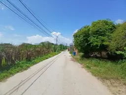 Vista 4