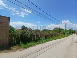 Vista 5
