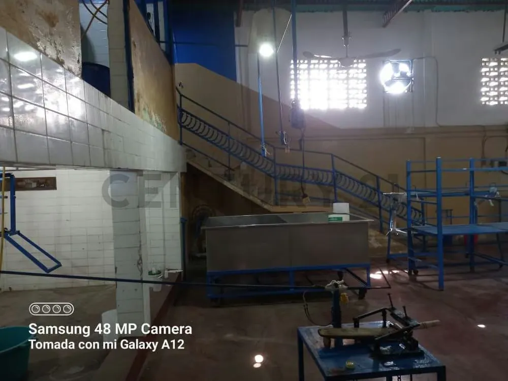 Inversión Negocio- Galpón Fabrica- San Felipe - 7