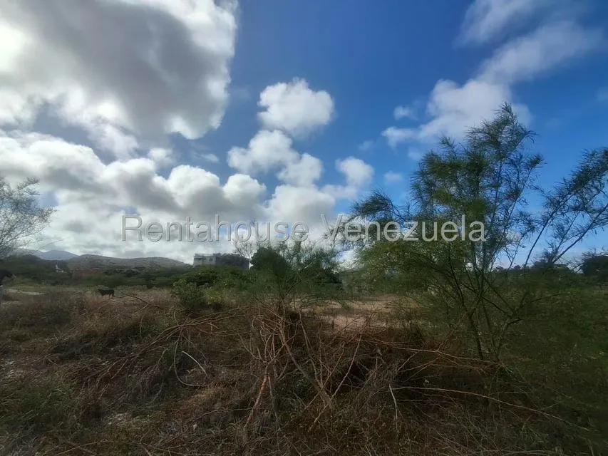 Terreno (Comercial) en Venta en Los Robles, Nueva Esparta - 2