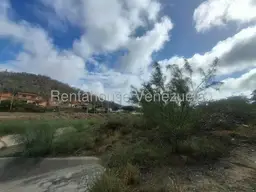 Vista 14