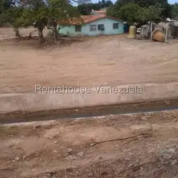Vista 5