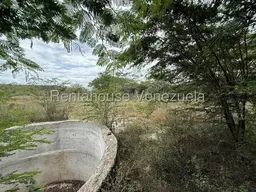 View 19
