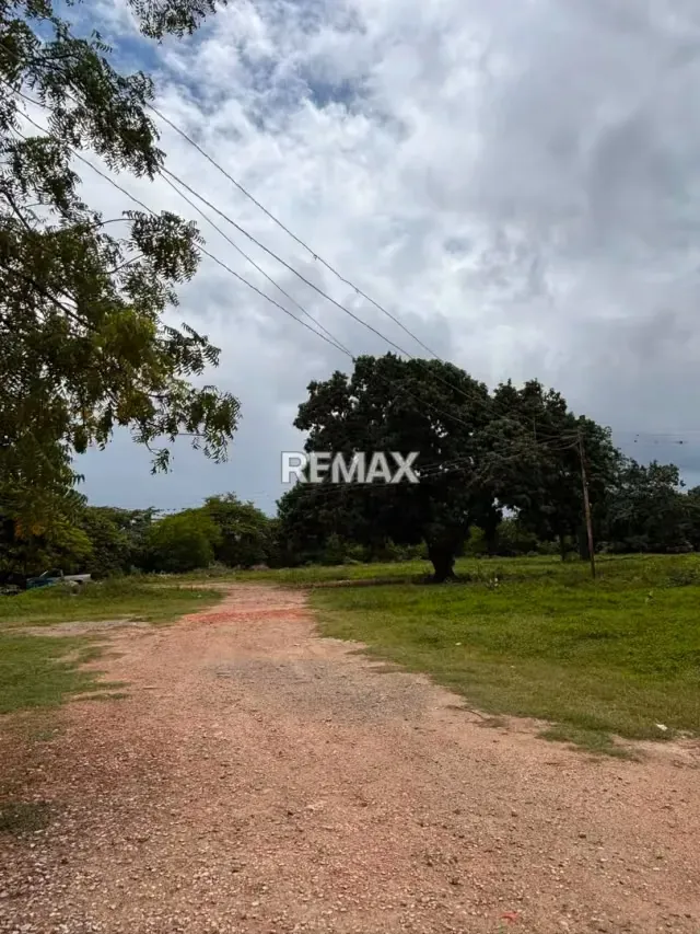 Terreno en Venta Palo negro