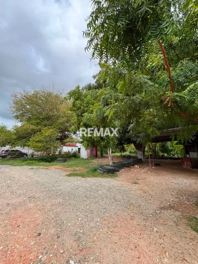 Terreno en Venta Palo negro - 3