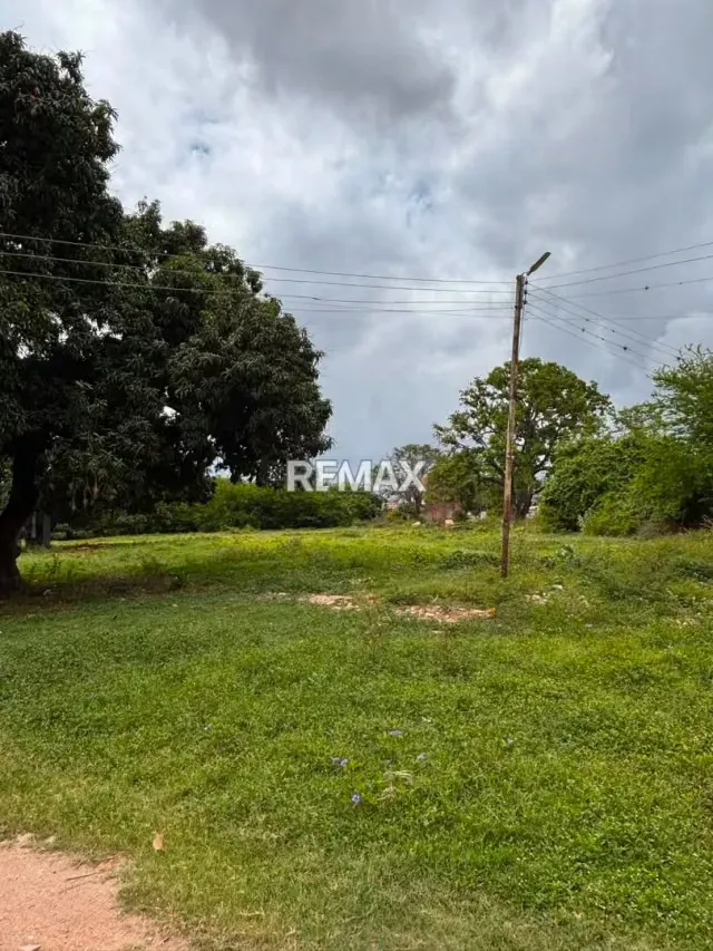 Terreno en Venta Palo negro - 4