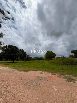Vista 6