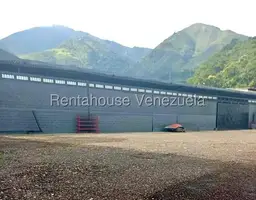 Vista 3