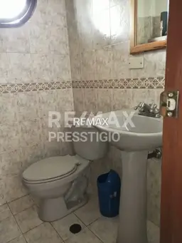 Vista 14
