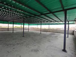 View 77