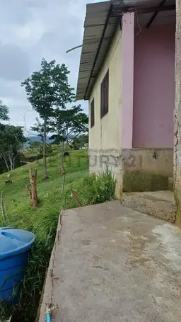 Vista 11