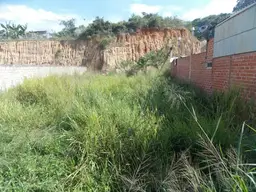 Vista 11