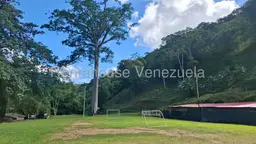 View 14