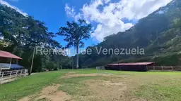 View 15