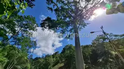 View 16
