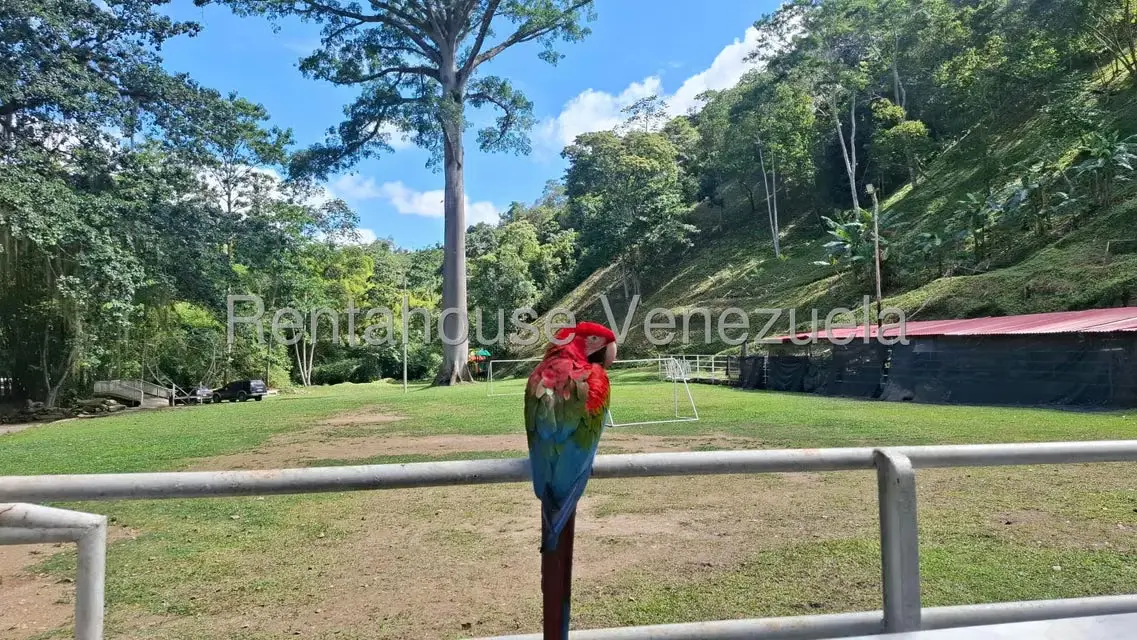 Terreno (Finca) en Venta en El Hatillo, Distrito Metropolitano - 22
