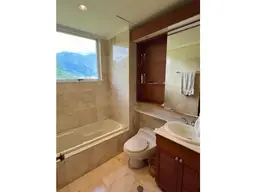Vista 25