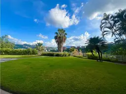 Vista 37