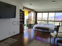 Vista 20