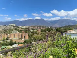 Vista 35