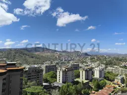 Vista 36