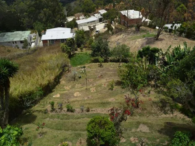 Casa (1 Nivel) en Venta en Club de Campo, Miranda - 44