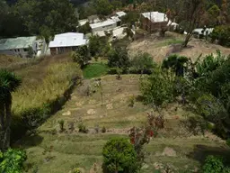 Vista 44