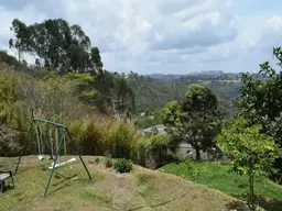 Vista 60