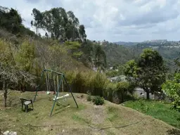 Vista 61