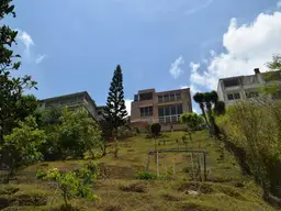 Vista 65