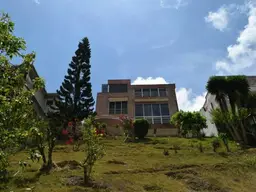 Vista 67